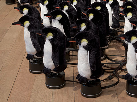 Penguins Mirror